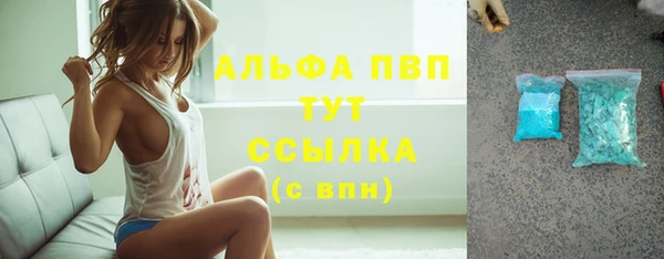ешки Белокуриха