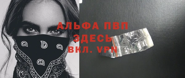 ешки Белокуриха