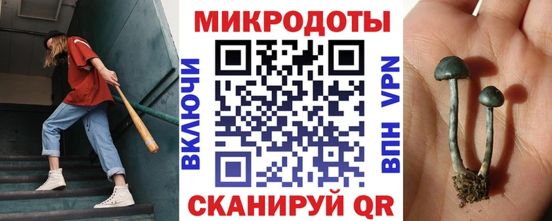 Галлюциногенные грибы Psilocybine cubensis  Пионерский 