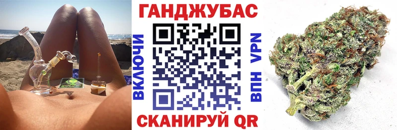 Канабис сатива  Пионерский 